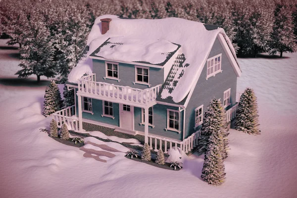 House covered in snow — Stock Photo, Image
