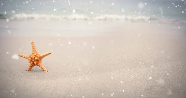 Snow falling against starfish — Stock Photo, Image