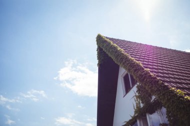 Creepers plants on a house clipart