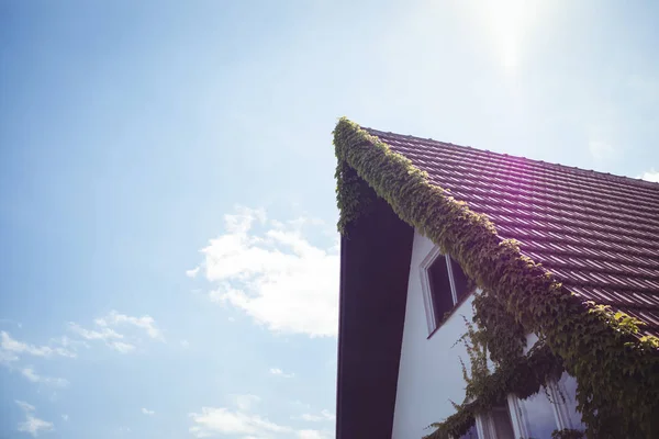 Schlingpflanzen auf einem Haus — Stockfoto