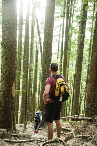 Adam kırsal ormanda ayakta — Stok fotoğraf