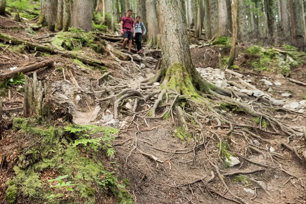 Couple hiking in countryside — Stock Photo, Image