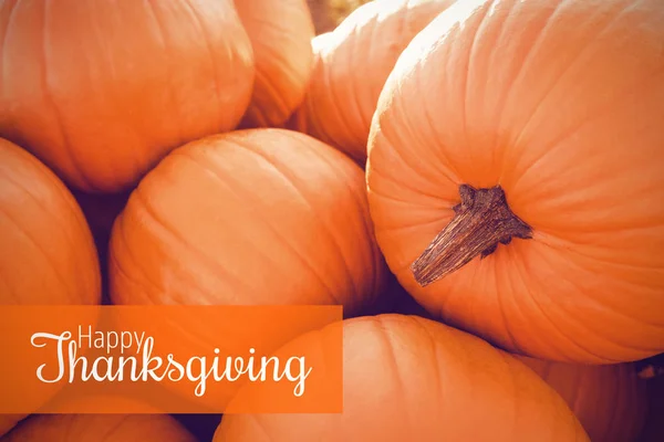 Thanksgiving hälsningstext mot pumpor — Stockfoto
