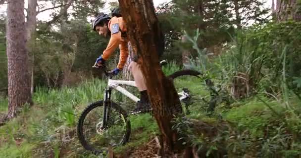 Катание на горных велосипедах в лесу — стоковое видео