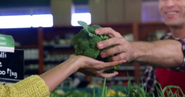 Sonriente personal masculino que ayuda a la mujer — Vídeo de stock