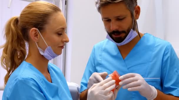 Стоматологи обсуждают модель зубов — стоковое видео