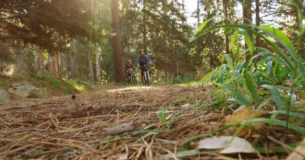 Mountain bike coppia equitazione nella foresta — Video Stock