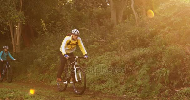 Bicicleta de montaña pareja montar en el bosque — Vídeo de stock