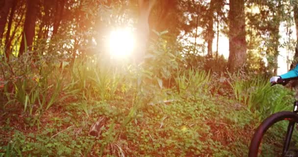 Vrouwelijke mountainbiker paardrijden in bos — Stockvideo