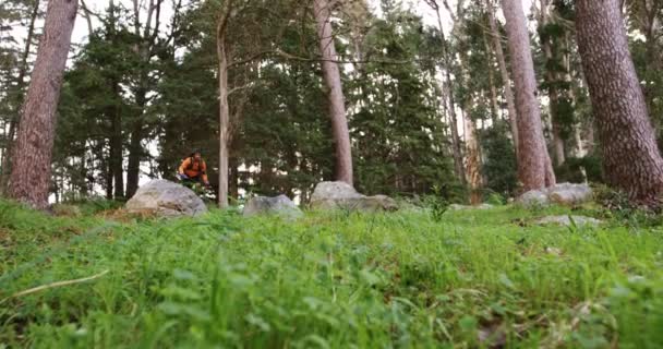 Mountainbiker paardrijden in bos — Stockvideo
