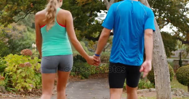 Пара держась за руки во время ходьбы — стоковое видео