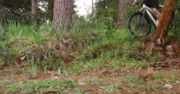 Na horském kole, jízda na koni v lese — Stock video