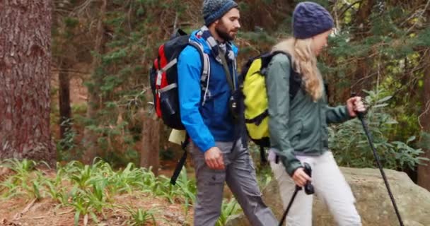 Uzun yürüyüşe çıkan kimse çift ormanda etkileşim — Stok video