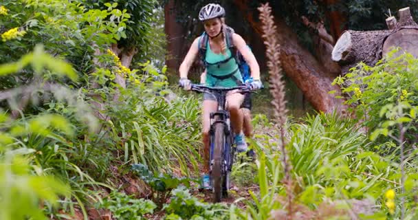 カップル サイクリング自転車 — ストック動画