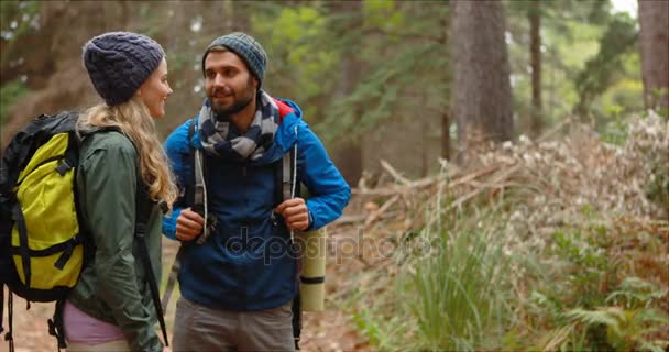 Caminante pareja senderismo en el bosque — Vídeo de stock