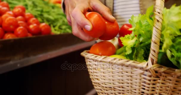 Man tomaten aanbrengend mand — Stockvideo