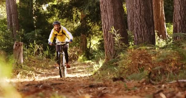 Masculino mountain biker equitação no floresta — Vídeo de Stock