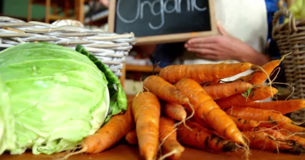 Vrouwelijk personeel houden biologische teken boord — Stockvideo