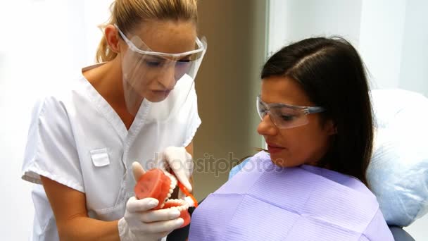 Стоматолог показывает пациенту модельные зубы — стоковое видео