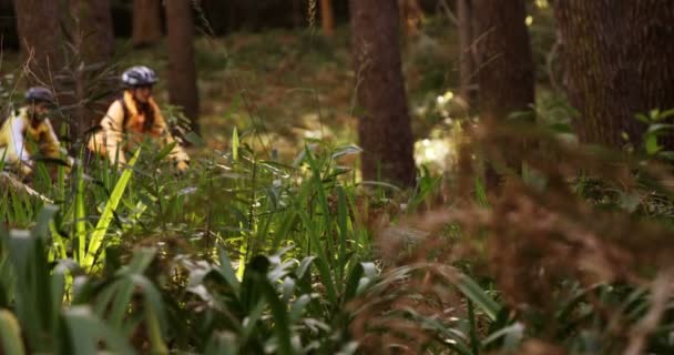 Mountain biking couple riding in forest — Stock Video