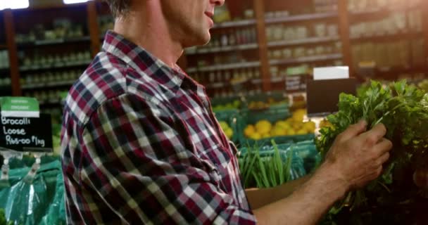 Pareja feliz comprando verduras — Vídeo de stock