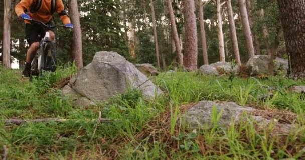 Manliga mountainbikecyklist ridning i skogen — Stockvideo