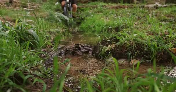 Αρσενικό βουνό ποδηλάτης ιππασίας στο δάσος — Αρχείο Βίντεο