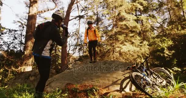 Man taking picture of woman in forest — Stock Video