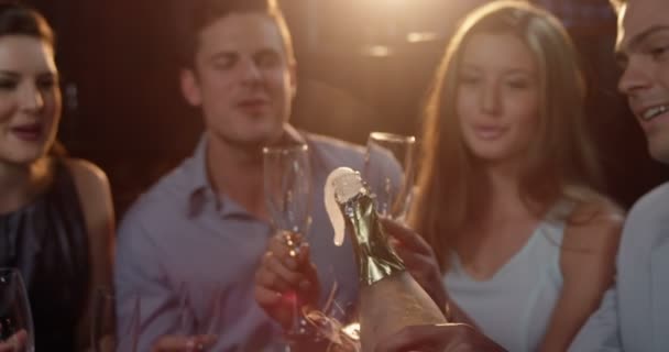 Amis souriants ayant des verres de champagne — Video