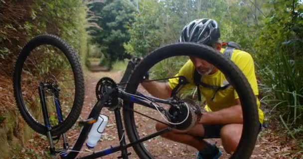 Hombre ciclista reparando neumático de bicicleta — Vídeos de Stock