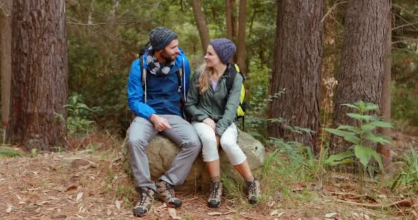 Caminhante casal sentado juntos na rocha — Vídeo de Stock