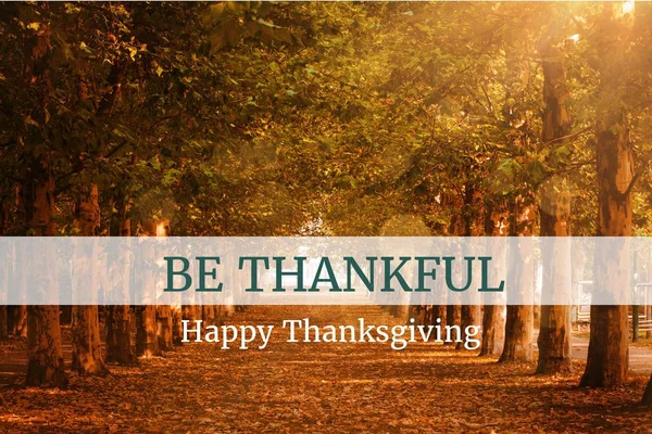 Thanksgiving meddelande på trä bakgrundsdesign — Stockfoto