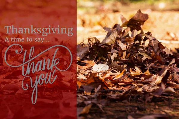 Thanksgiving Message on Autumn Background Design — Stock Photo, Image