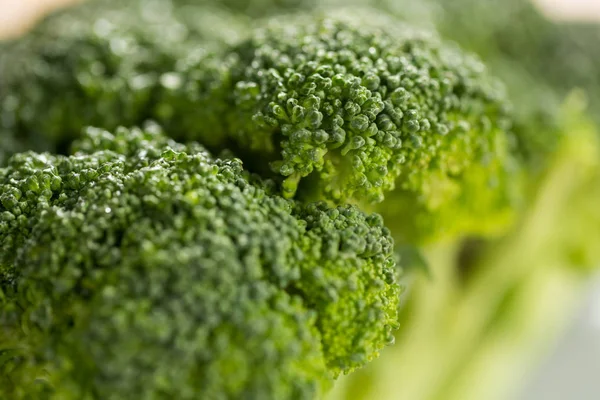 Närbild av färsk broccoli — Stockfoto