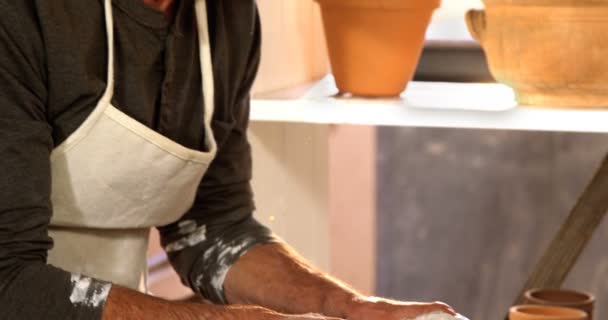 Erkek potter pot yapma — Stok video