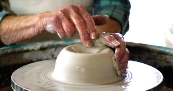 鍋を作る女性・ ポッター — ストック動画