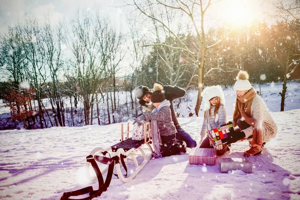 家庭玩雪橇 — 图库照片