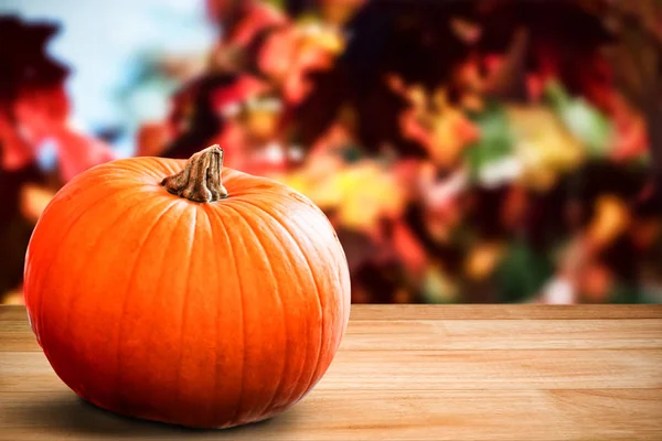 Orange pumpa på parkett — Stockfoto