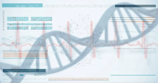 Illustration of genes diagram — Stock Photo, Image