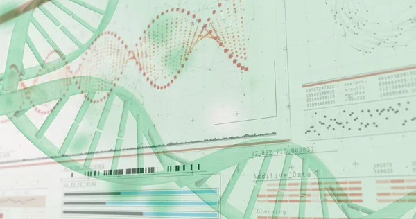 Diagrama de hélice de DNA — Fotografia de Stock