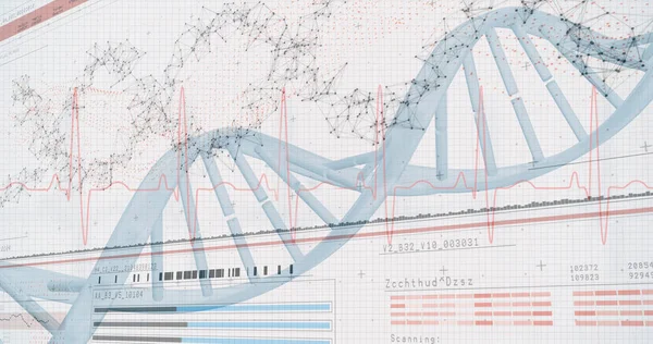 Ilustración del diagrama de genes — Foto de Stock