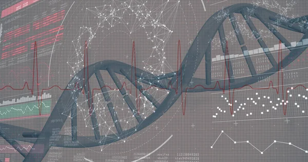 Ilustración del diagrama de genes — Foto de Stock