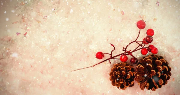 Cono de pino y cereza roja en la nieve — Foto de Stock