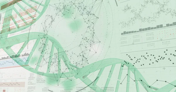 Illustration of genes diagram — Stock Photo, Image