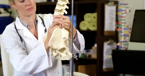 Fisioterapeuta olhando para modelo da coluna vertebral — Vídeo de Stock