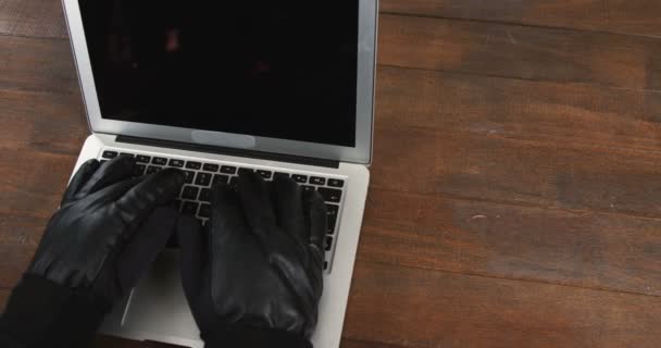 Hands of burglar using laptop — Stock Video