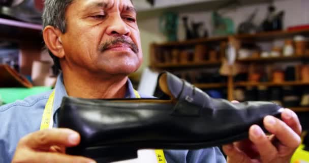 Bir ayakkabı inceleyerek ayakkabıcı — Stok video