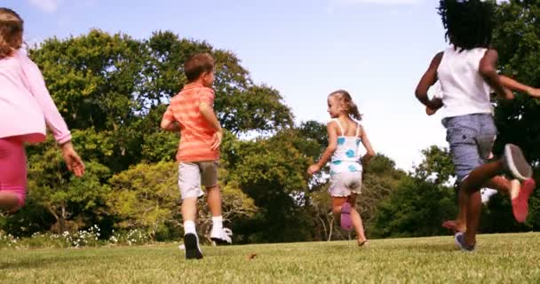 Niños jugando en el parque — Vídeo de stock