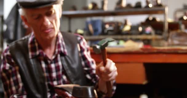 Shoemaker hammering on a shoe — Stock Video