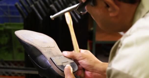 Cobbler martelando prego em um sapato — Vídeo de Stock